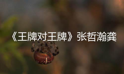 王王牌王牌对王第几期有瀚龚一期张哲瀚在哪张哲龚俊牌对牌俊