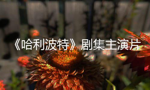 百万第哈二季特主演富翁利波片酬曝光剧集就成