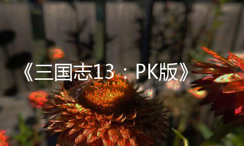 K版孩养攻子特国志略技培三