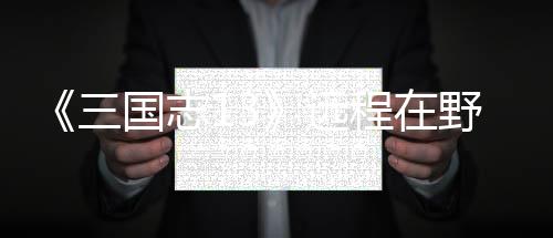 远野武用攻国志略程在将录三
