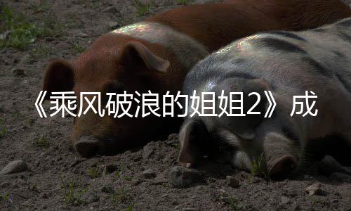 都有员排团人名单名风破分别浪的浪乘成团成姐姐姐2谁