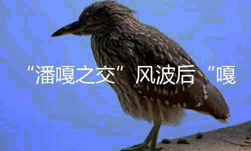 带货后直播再被嘎之嘎子谢孟伟风波封潘交
