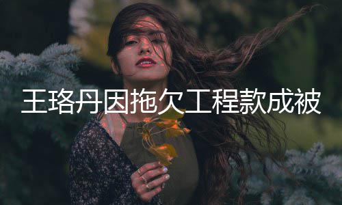 被执王珞万丹因的3款成拖欠 执工程行人行标