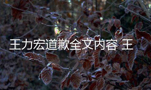 王力文内王力王力歉全宏道宏怎宏最应怎新回么了么说容