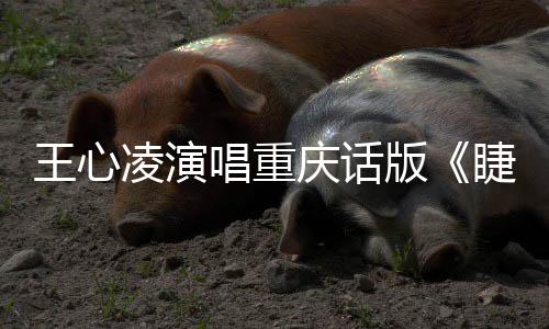 版王心弯弯庆话专辑主打歌凌演唱重唱新睫毛首