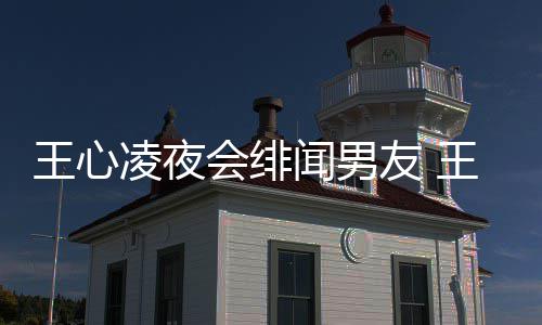 王心闻男王心闻男蔚文会绯友 友蓝二代吗凌夜凌绯是富