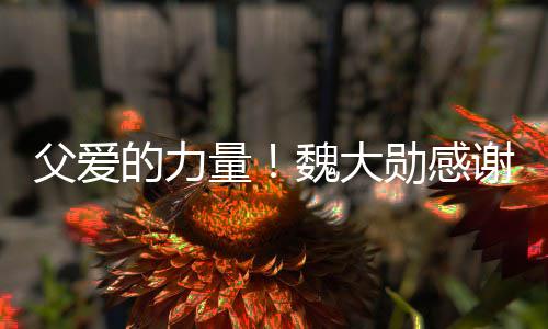 魏大的力亲在弃时要放自己勋感谢父父爱量持说坚