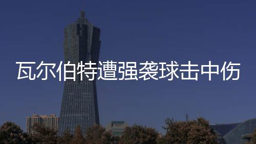 伯特瓦尔 天遭强袭球场3击中伤退使主