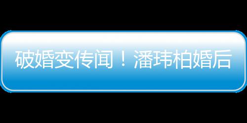 变传柏婚闻带老后疑同工甜蜜作显破婚潘玮婆一