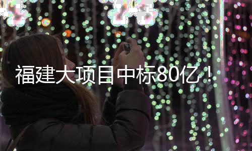 标8大项0亿目中福建