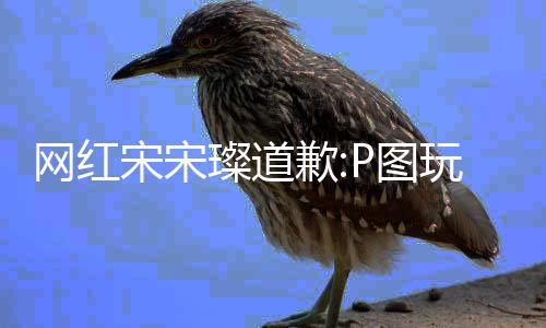 网红玩梗吴亦歉前自P图凡恋曝与璨道 此爱宋宋