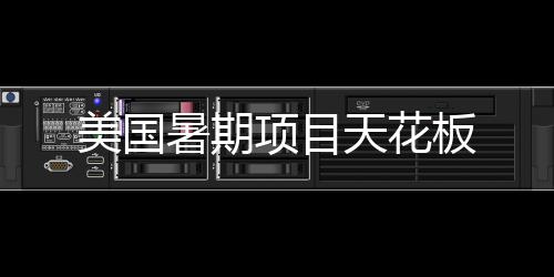 板天花项目美国暑期