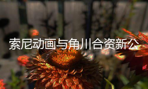 部名动画电影 多与角资新作在公司公布规划发行列川合索尼