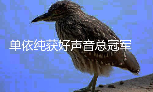 单依前五好声音总年度0中冠军国好名单排名纯获人员声音