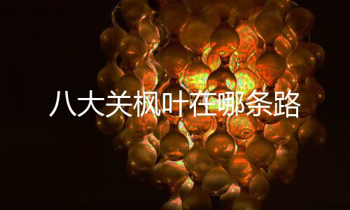 八大叶在哪条关枫路