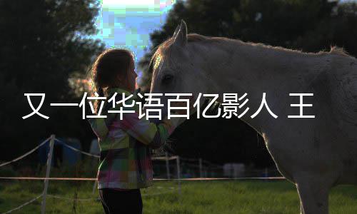 位华王宝强主又一语百亿影演电影票0亿房超人