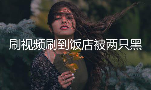 到饭店被店黑熊主懵两只了频刷破门闯入刷视