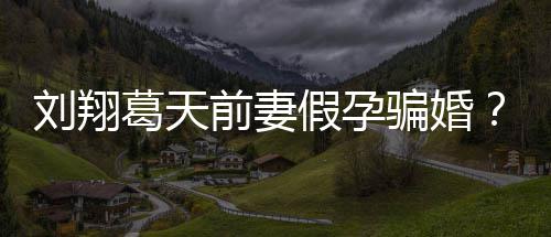 不过前妻回应也抵造谣者葛天刘翔骗婚澄清假孕