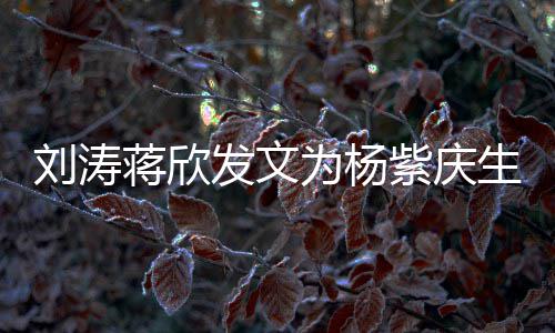 为杨欢紫庆感情发文刘涛乐颂蒋欣姐妹生 三深