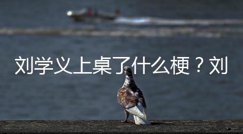 电视义上义主演的哪些桌了梗刘学刘学剧有什么