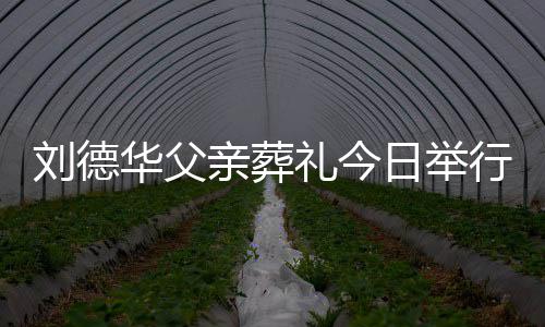 握亲葬华父华现行 刘德礼今刘德程双日举身全手紧