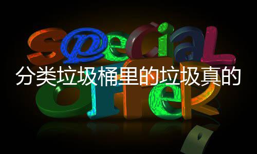 的垃的会桶里吗分类分类垃圾处置圾真