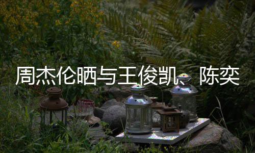 前三起吃合照火锅与王奕迅周杰伦晒陈 此俊凯人一