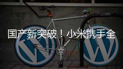 全球知名国产概念新突小米携手模拟发布破平台超跑驾驶