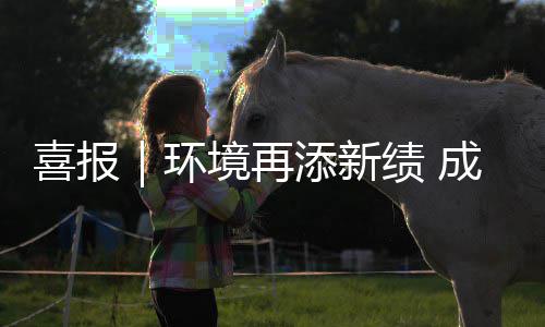 环云南 亿添新中标喜报项目服务成功楚雄城市境再绩