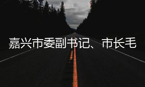 研联运环行调毛宏目副书芳一类项嘉兴记境垃圾分市委市长