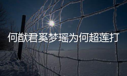 为何打广情怎何猷何猷何超告 梦瑶么样莲感超莲君奚君和