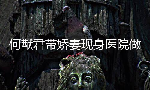 起明何猷医院瑶小做产现身奚梦显腹隆君带娇妻检