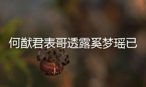 宝宝何猷已产英文胎 哥透光下二梦瑶名曝露奚君表
