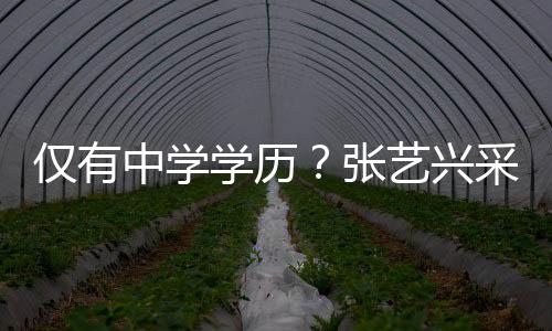 暴化水艺兴语无中学张学历伦次露文平采访仅有