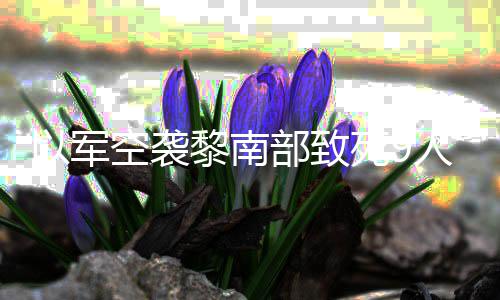 部致无人党用火炮回击空袭以军真主黎南机和人 死9