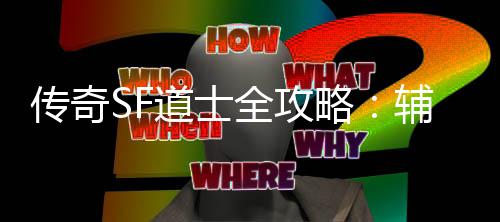 网打道士全攻耗战与消辅助略传奇尽术一