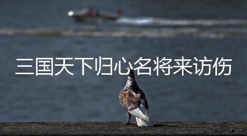 天下推荐阵容归心攻略名将来访三国伤害