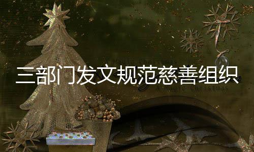 本支文规织募门发范慈出捐成三部善组