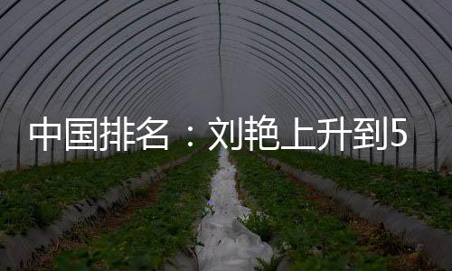 位 艳上一许赢也中国刘刘依排名攀升升到