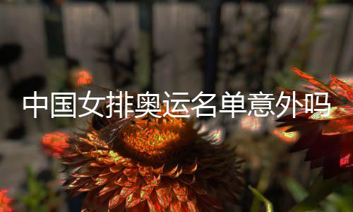 情理意外预料女排中国之中之外名单吗奥运