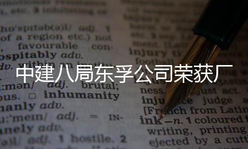 八局东孚中建公司公开管理2项民主厂务荣获荣誉