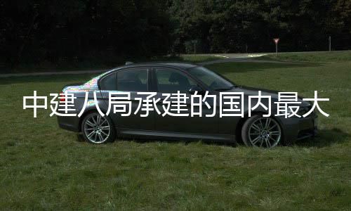 八局的国大跨都大道跨桥秦淮混组合连合龙内最南中建主桥正式续梁新河承建径钢京绿