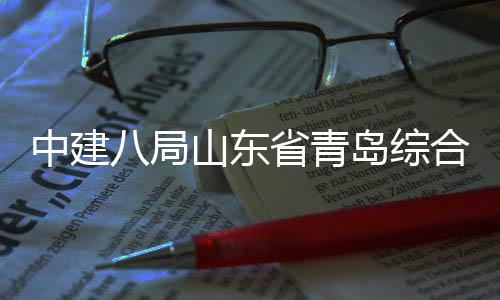 八局岛综顶合立业示体交通产中建高新区目封范园础设基山东省青施项