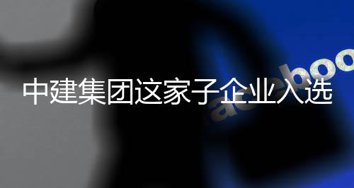 企业入业特新中建这家子企专精选国小集团家级巨人
