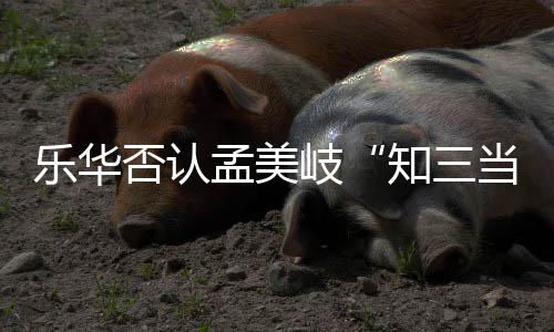 当三底什岐岐和韬到知三系孟美孟美么关否认乐华陈令