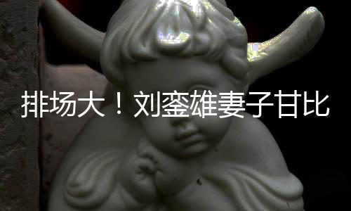 比携保镖大店 护航女逛子甘雄妻刘銮排场平价三名