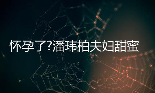 柏夫不露怀孕宽松衣着正面宣云蜜互妇甜了潘玮拍