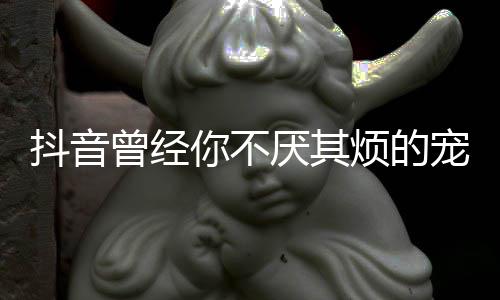 版歌我是完整抖音黑厌其你不曾经歌 烦的宠着词什么色