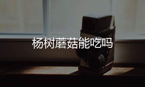 杨树能吃蘑菇吗