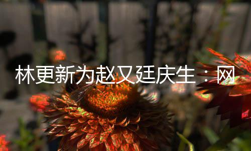 网上我贡都是原来廷庆赵又新为献的林更丑照生